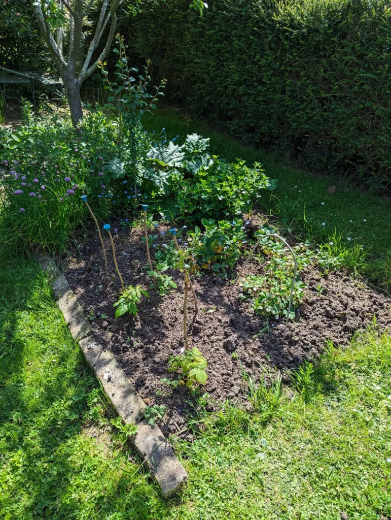 A picture of Philip's gardening, which he and Chris have been working on together